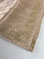 Organza blended saree/ BL924
