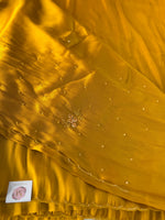Tissue organza Saree/ HW319