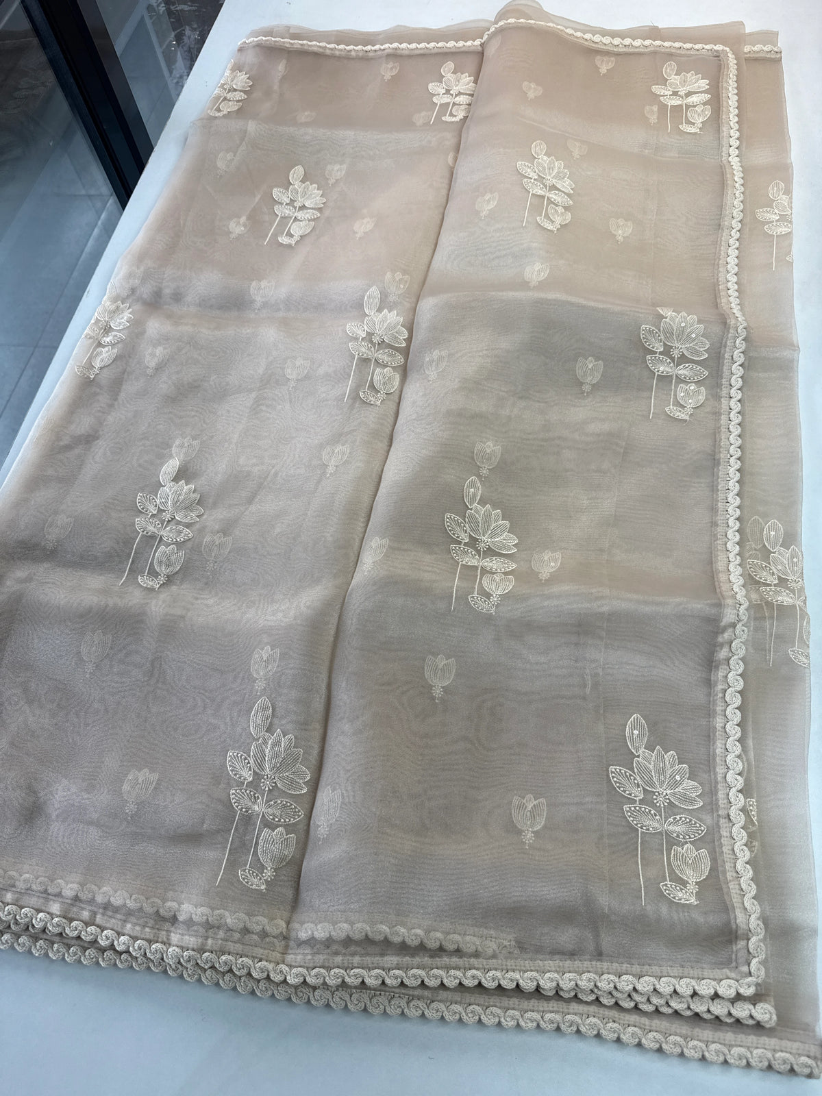 Glass Organza Saree/ CW666