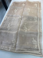 Glass Organza Saree/ CW666