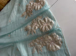 Crushed Organza Saree/ AM118