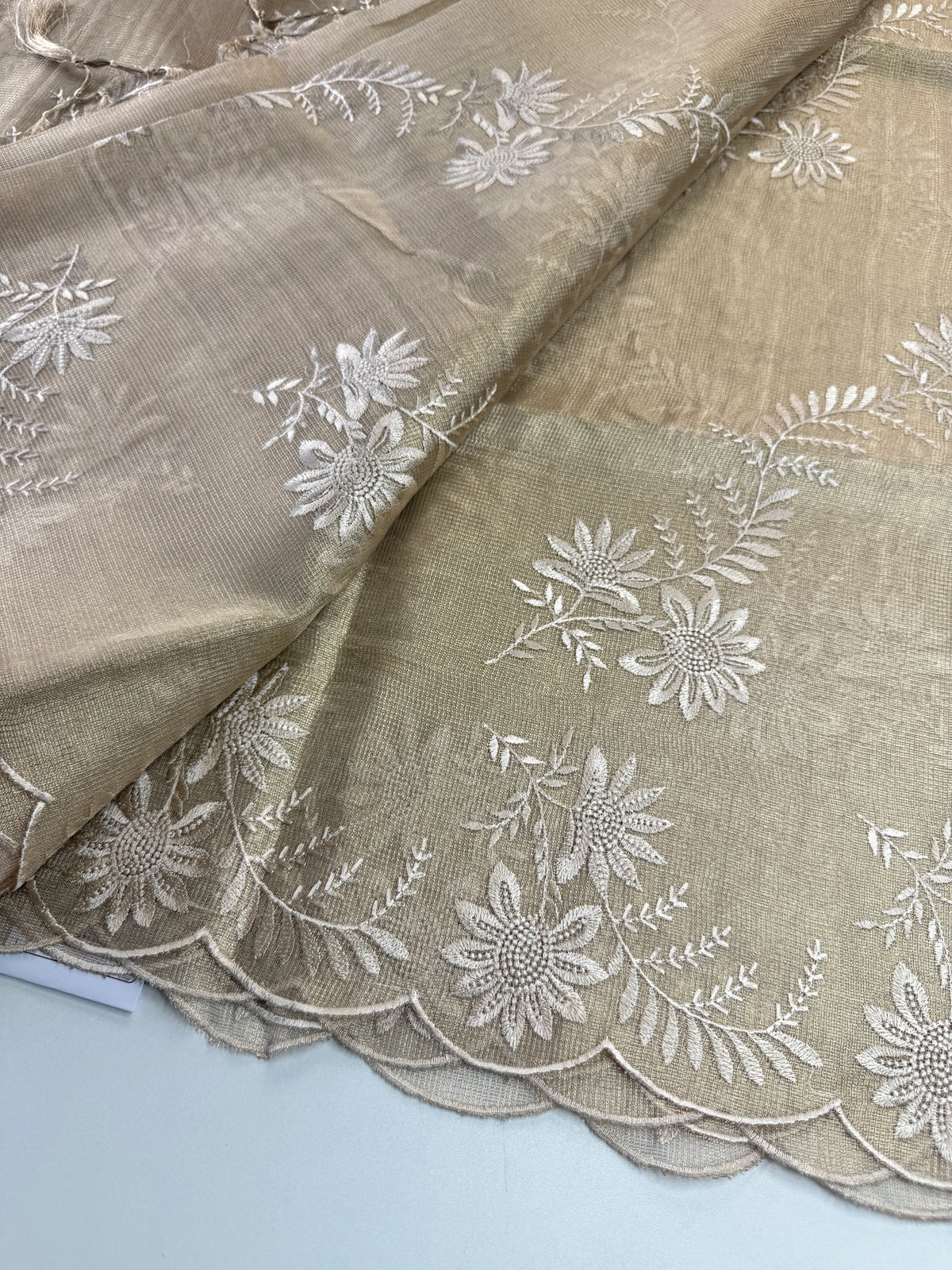 Tissue Saree/RKF36