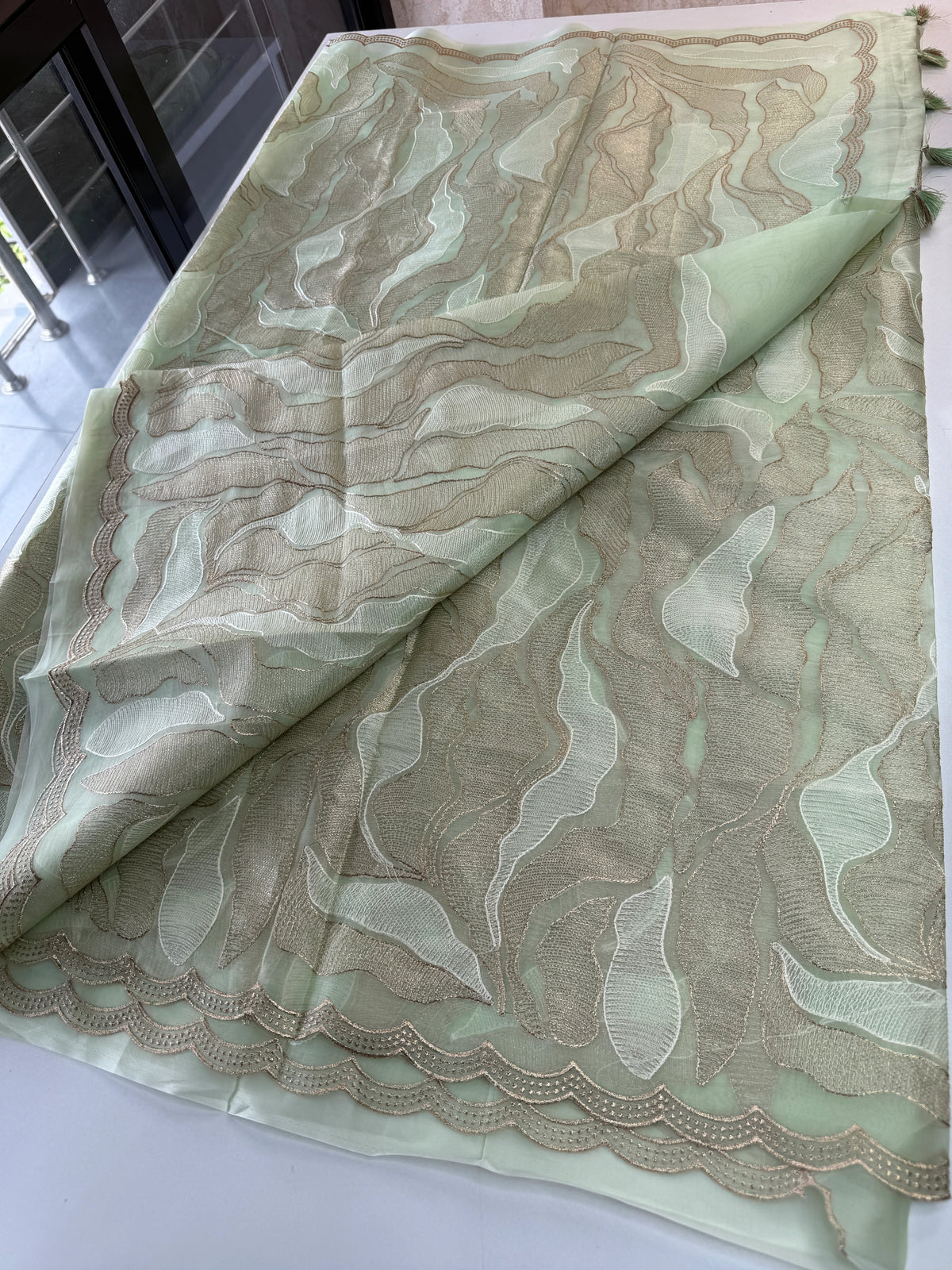 Organza saree/A893