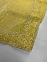 Korean organza saree/ Hw557