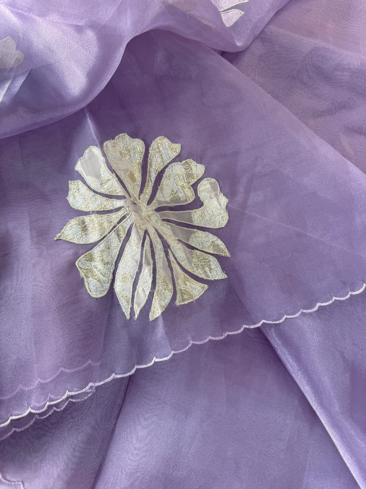 Glass Organza Saree/ LK35