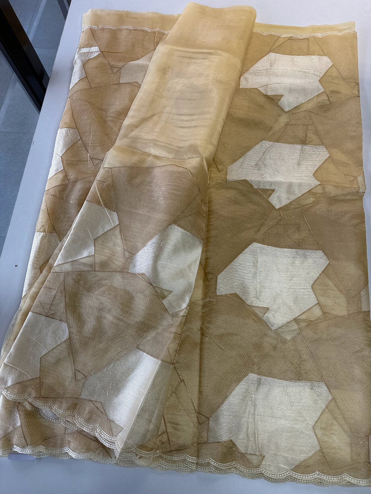 Soft organza Saree / CW330