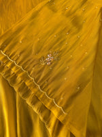 Tissue organza Saree/ HW319