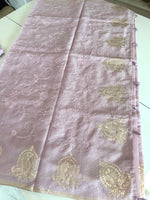 Silky kotta / ACN02/B