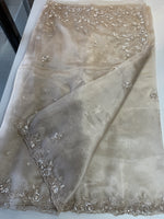 Glass organza Saree/AP810
