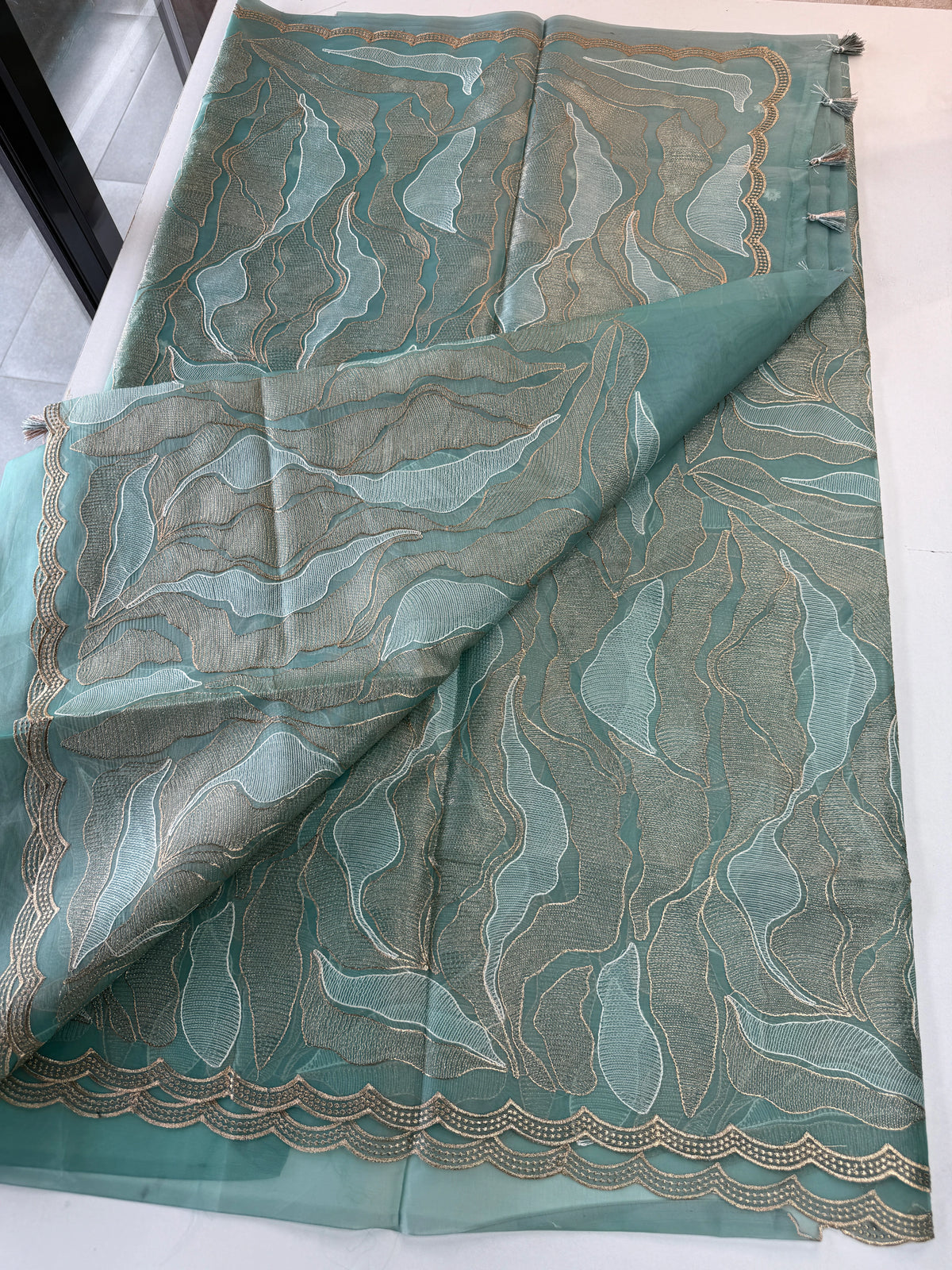Organza saree/A893