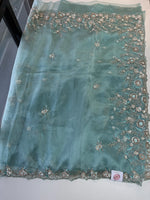 Glass organza Saree/AP810
