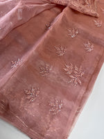 Glass Organza Saree/SP86