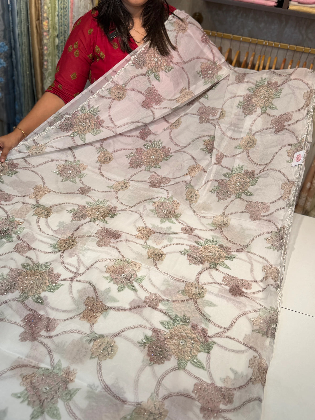 Georgette Organza Saree/ DD32