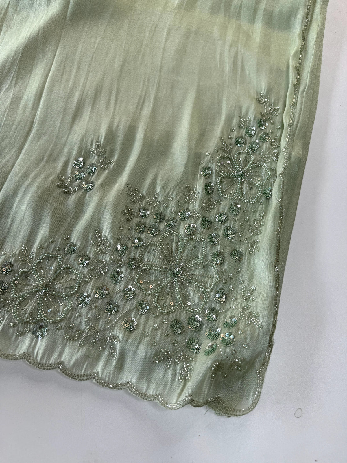 Tissue Organza Saree/ W319