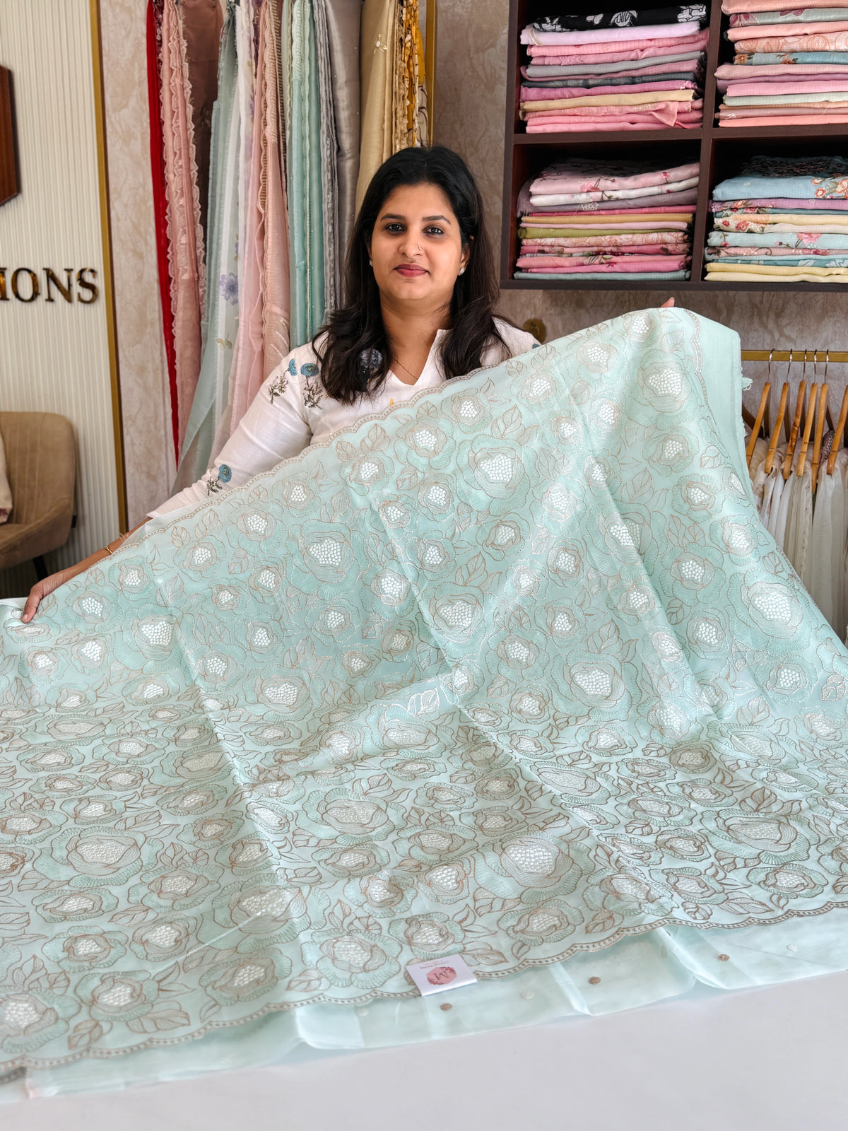 Organza Saree/ SS843