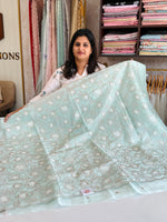 Organza Saree/ SS843