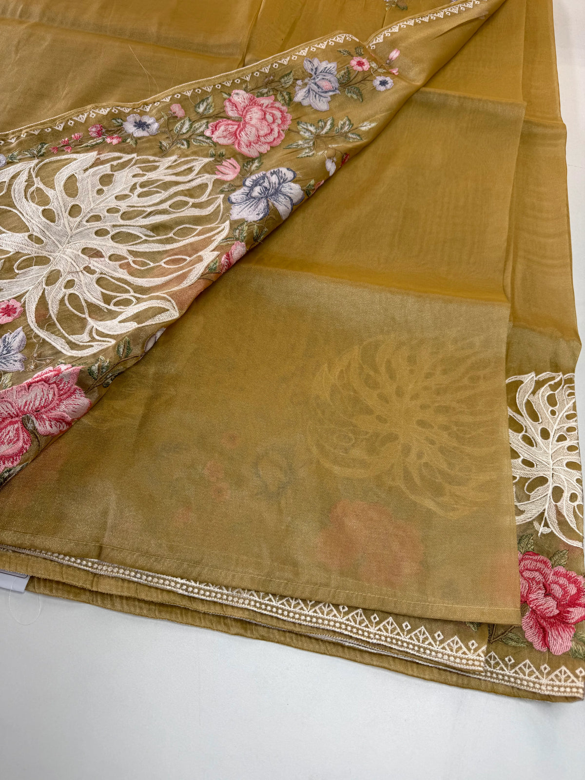Tissue organza saree /RKF07