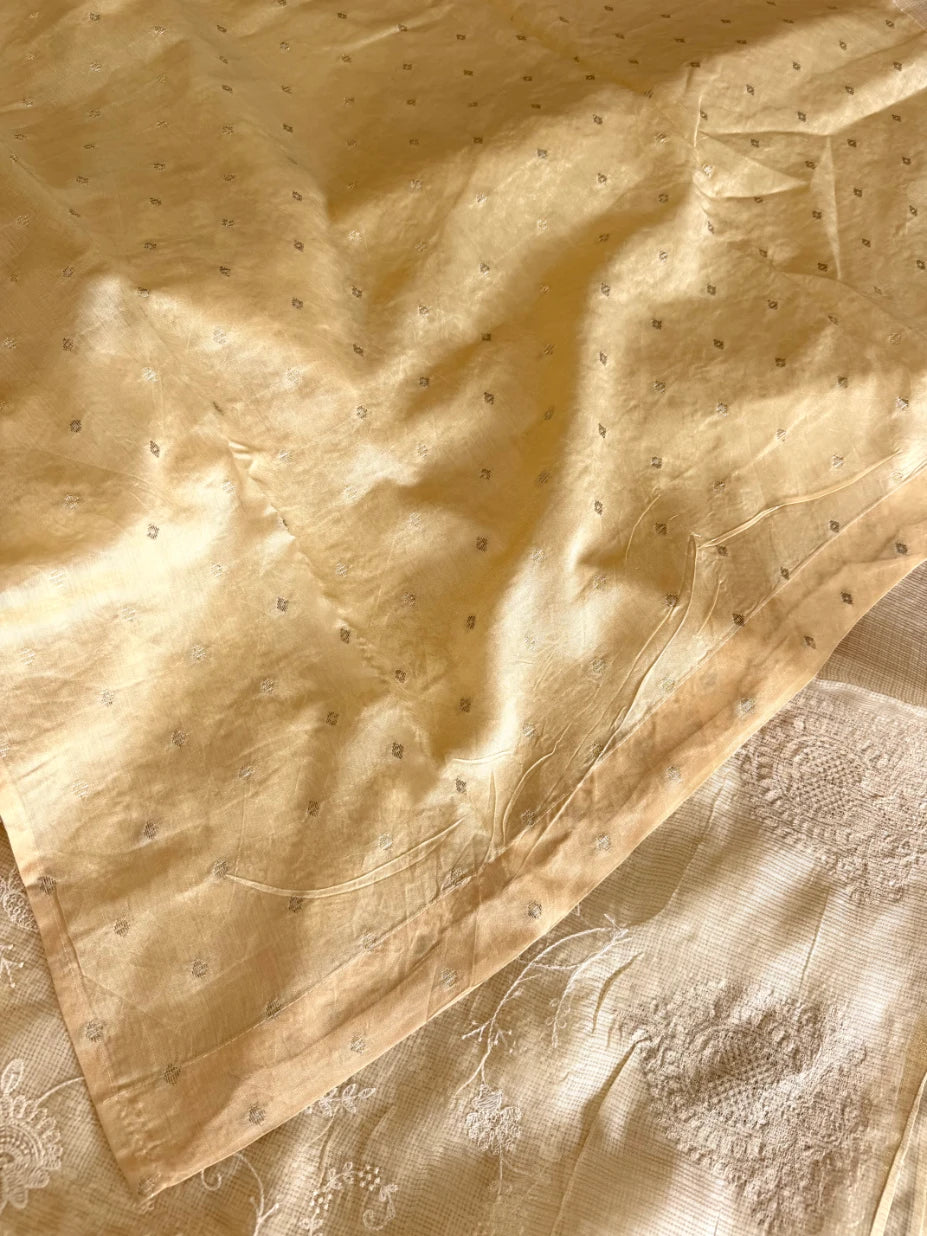 Silky kotta / ACN02/B