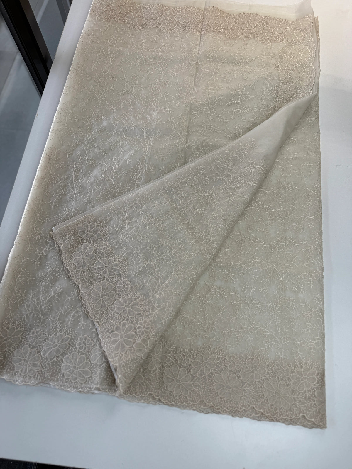 Organza Saree/ CW436