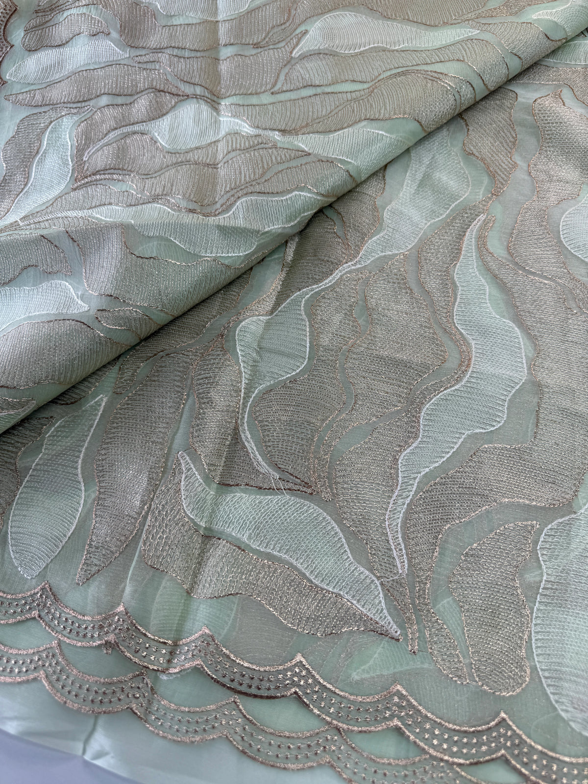 Organza saree/A893