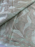 Organza saree/A893