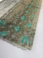 Tissue Saree/ SN301