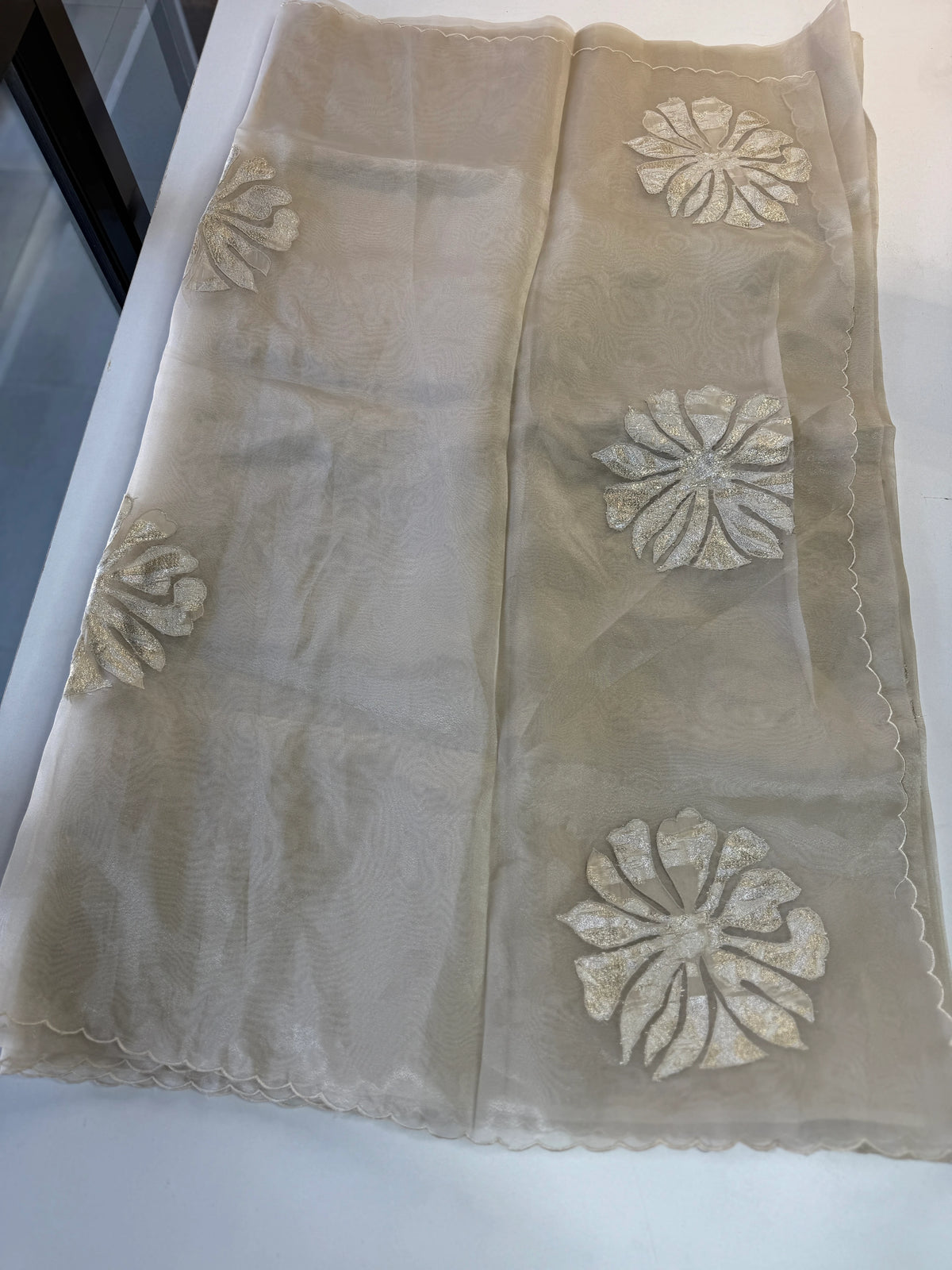 Glass Organza Saree/ LK35