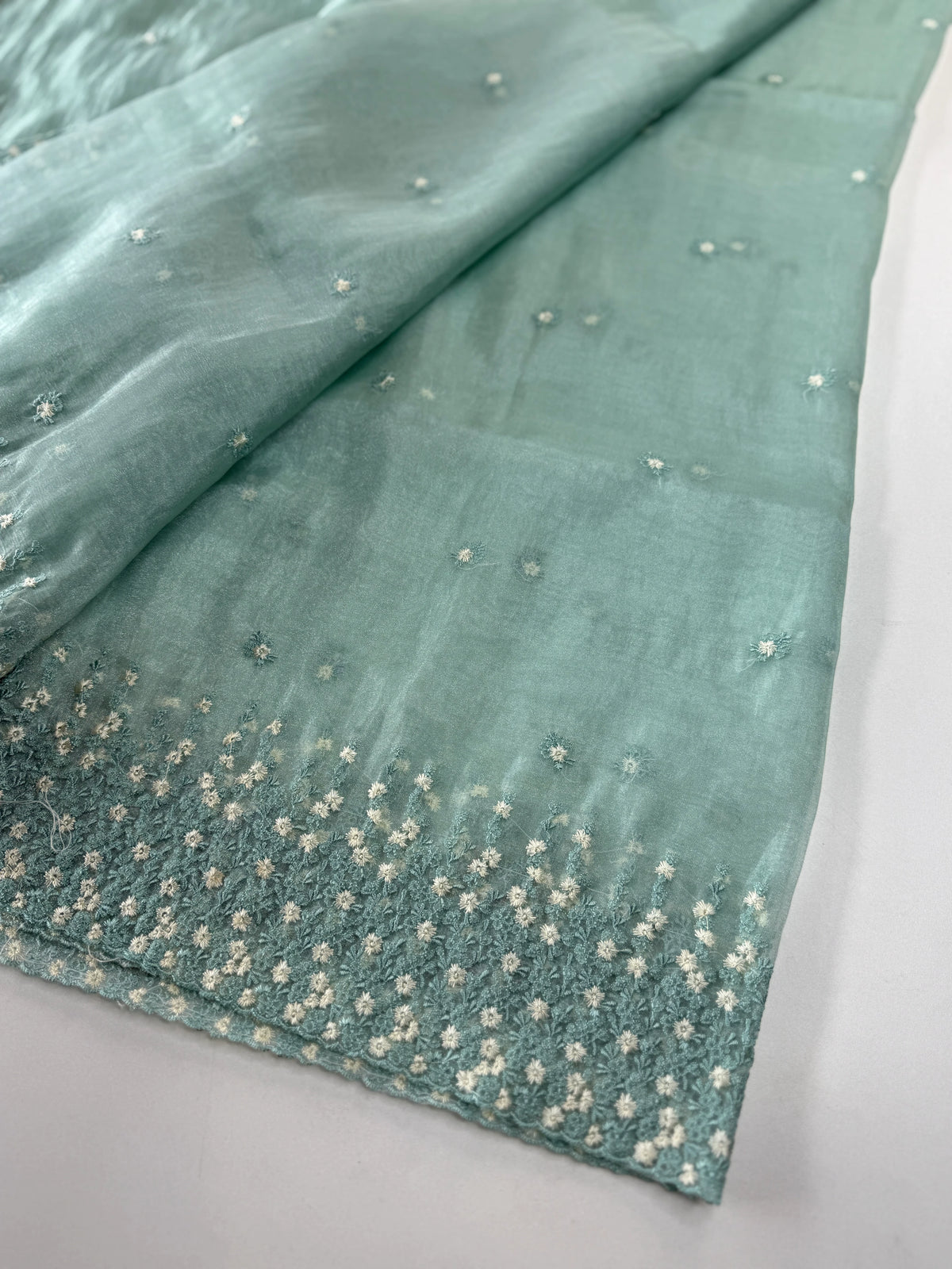 Soft Organza Saree/ CW533