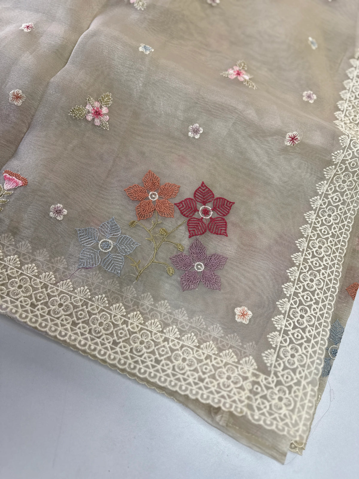 Crushed Tissue Saree/ CW323