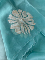 Glass Organza Saree/ LK35