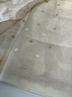 Organza saree/A893