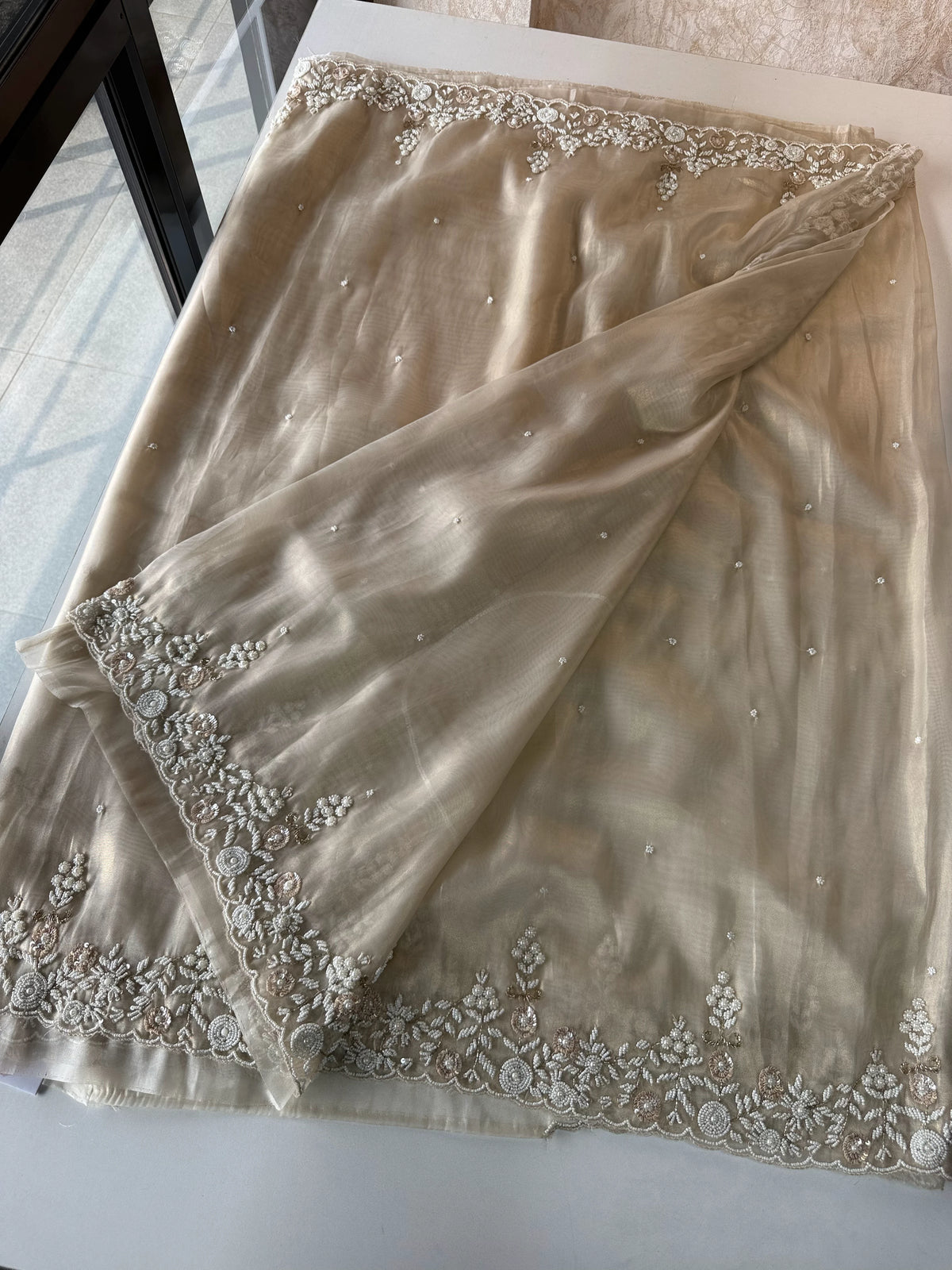 Tissue organza Saree/SA001
