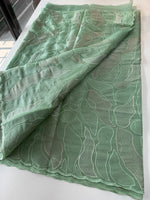 organza saree/ CW473