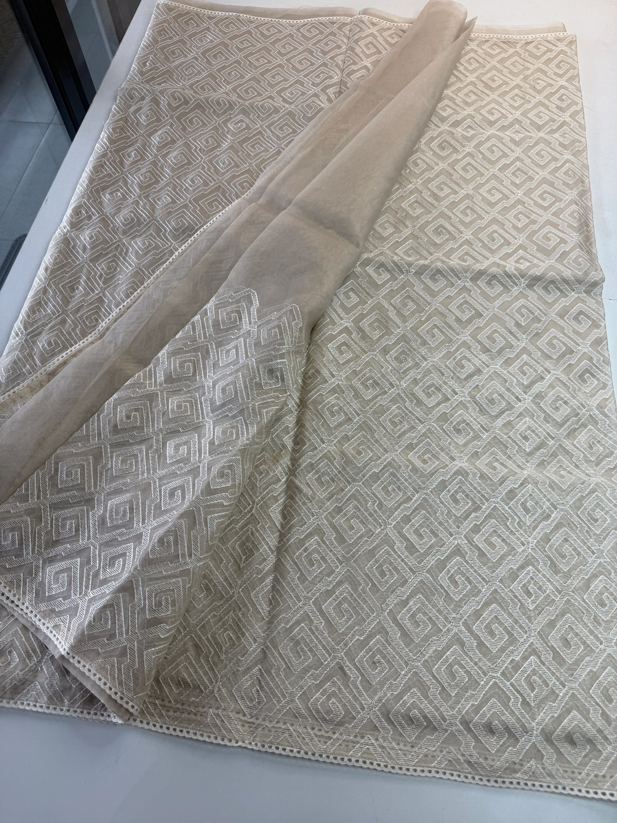 Tissue bledned soft Organza saree / SH898
