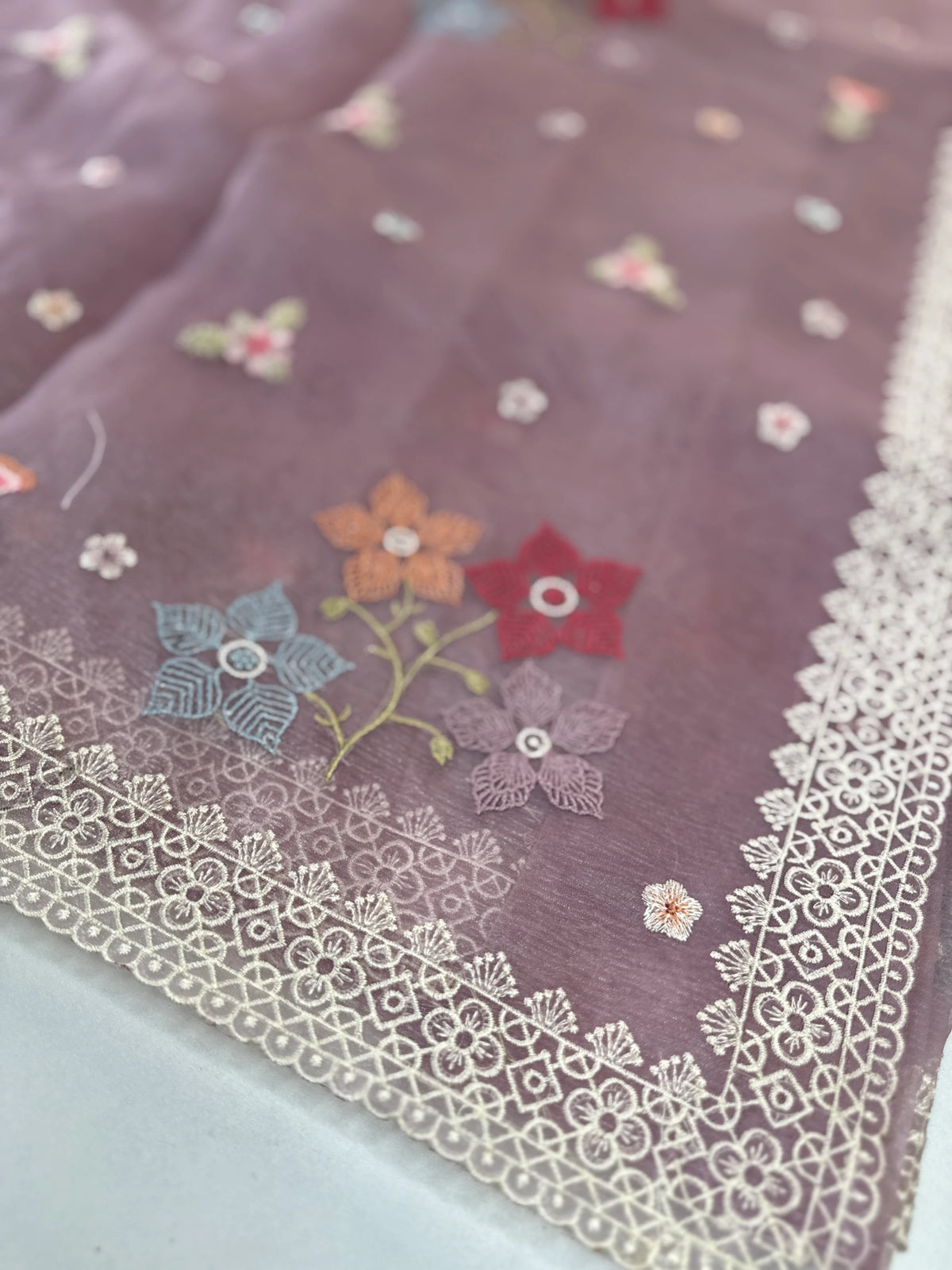 Crushed Tissue Saree/ CW323
