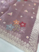 Crushed Tissue Saree/ CW323