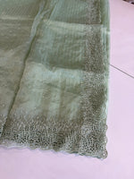 Soft Organza Saree/ Cw055