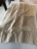 Tissue Organza Saree/SQ181