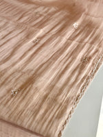 Crushed Organza Saree/ AM118