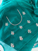 Soft organza Saree/ 998A