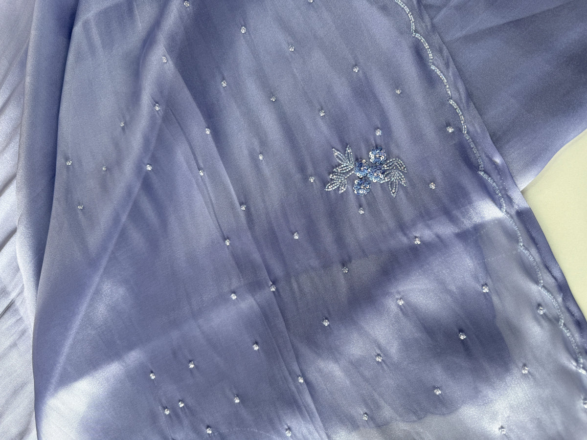 Tissue organza Saree/ HW319