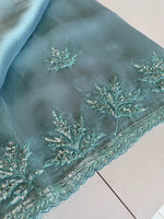 Glass Organza Saree/SP86