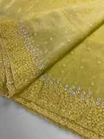 Korean organza saree/ Hw557