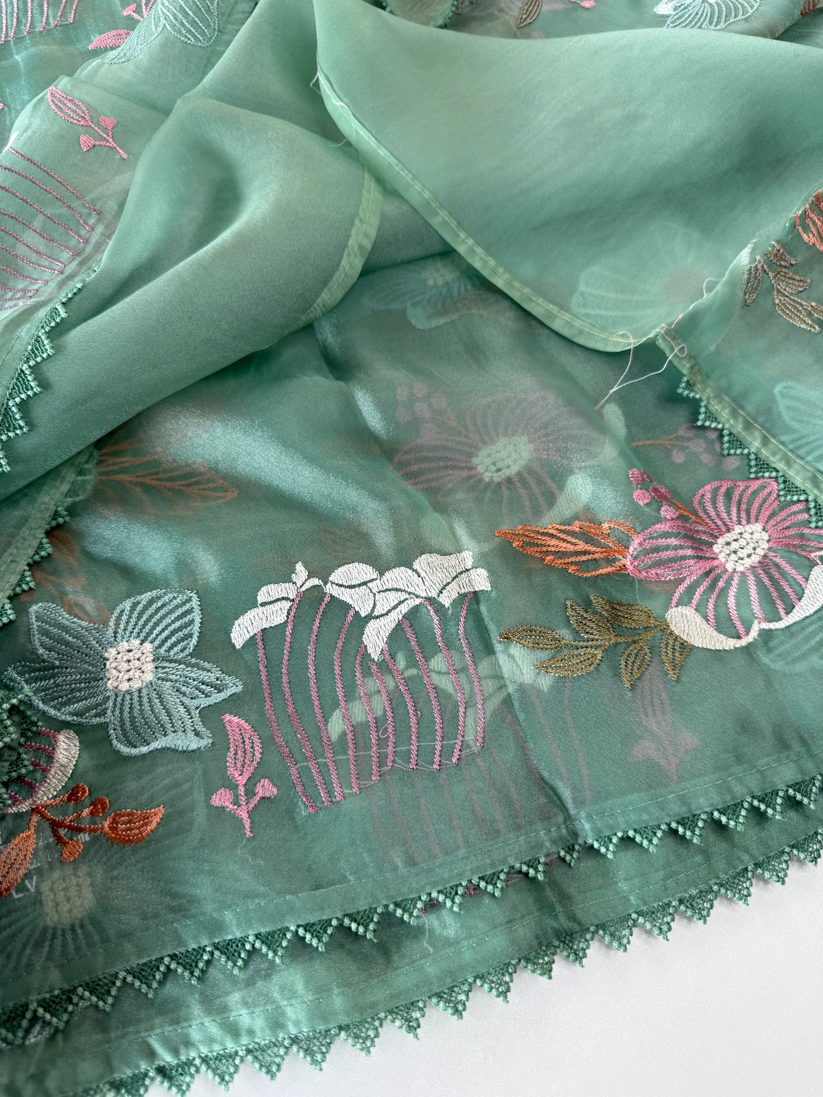 Viscous Organza Saree/ RKF25