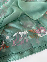 Viscous Organza Saree/ RKF25