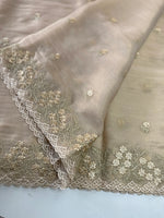 Organza blended saree/ BL924
