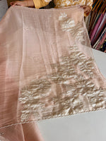 Crushed Organza Saree/ AM118