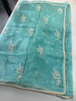 Glass Organza Saree/ CW666