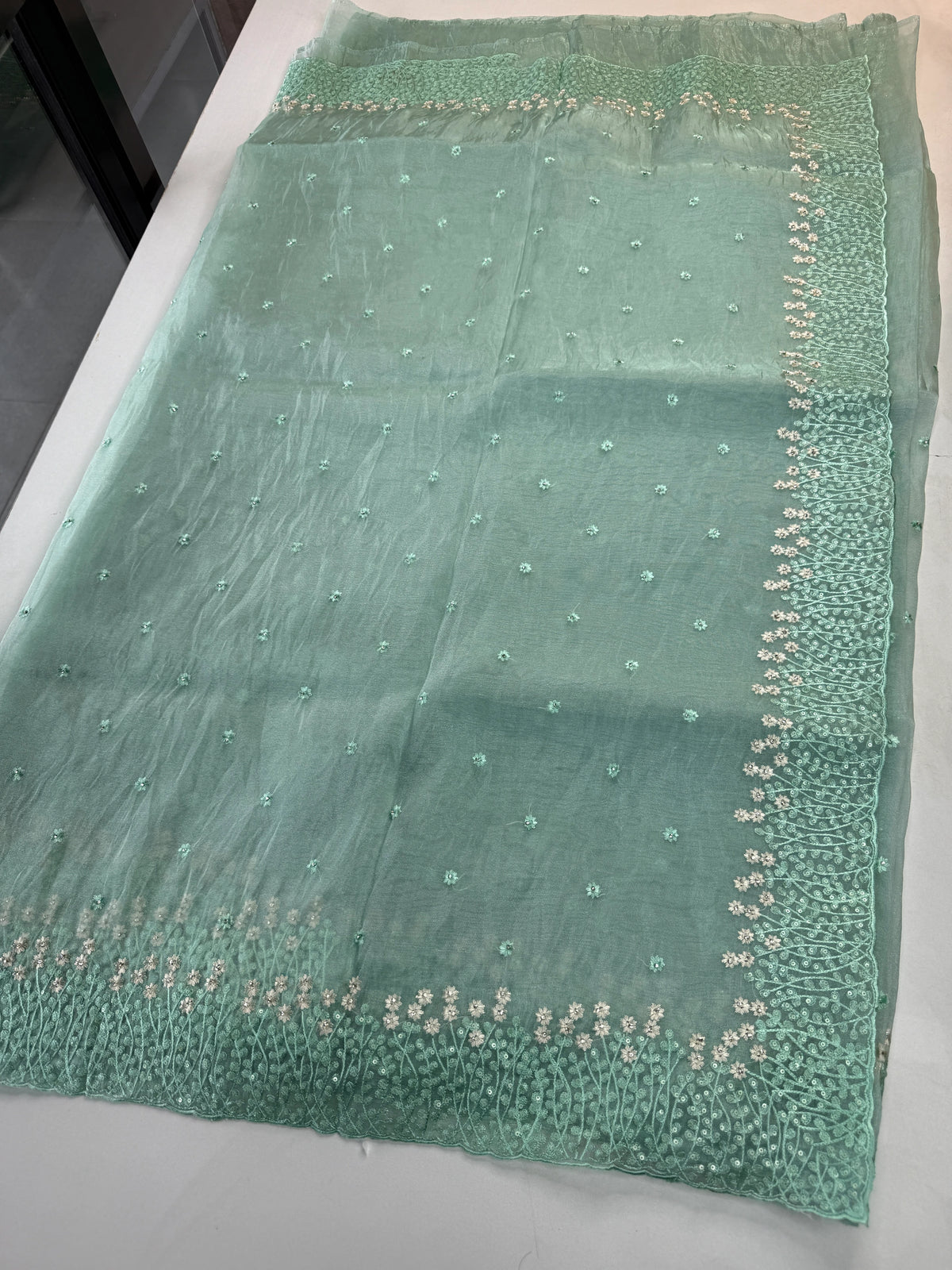 Korean organza saree/ Hw557