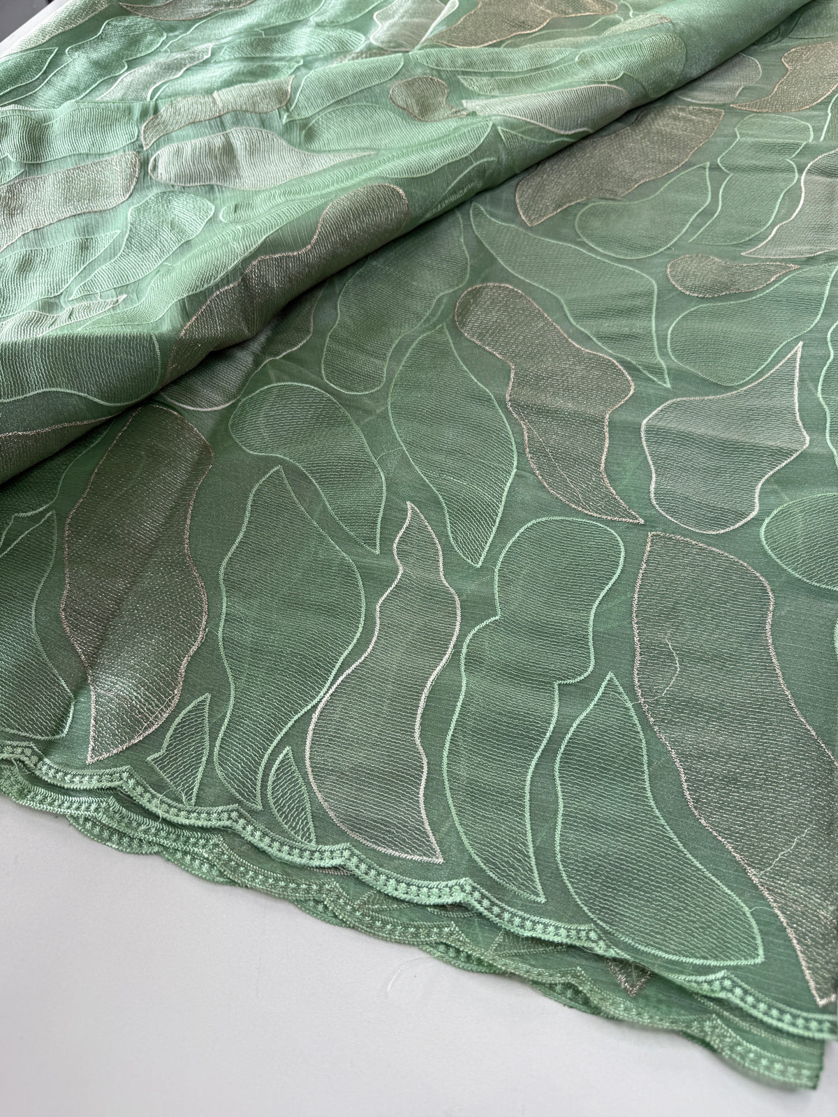 organza saree/ CW473